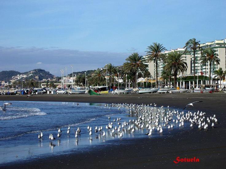 Apartamento Solymar Málaga Dış mekan fotoğraf
